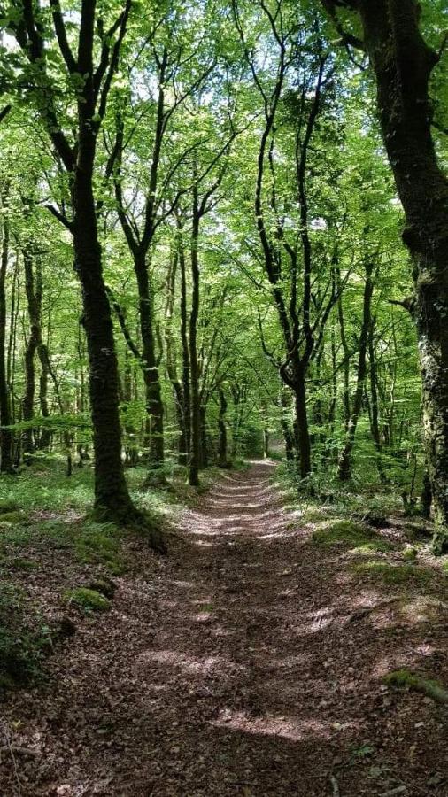 Gite De Rosvern Commana Exteriér fotografie