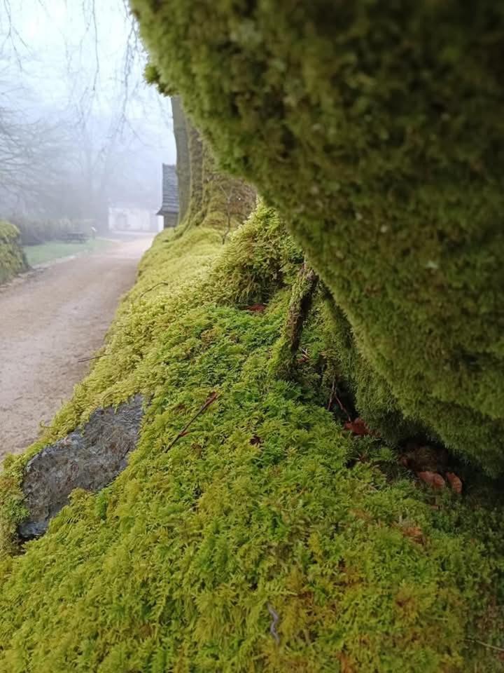 Gite De Rosvern Commana Exteriér fotografie
